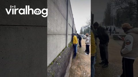 Football Fans Watch Game Through Holes In Concrete Wall || ViralHog