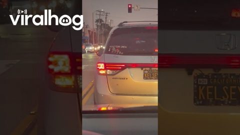 Kelsey Don't Play || ViralHog