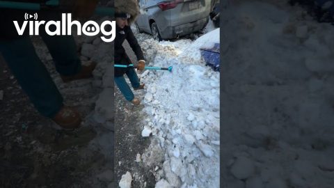 Should Have Shoveled When The Snow Was Soft || ViralHog