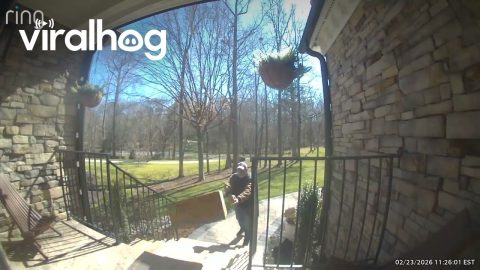 Delivery Driver Throwing Package Onto Porch Fail || ViralHog