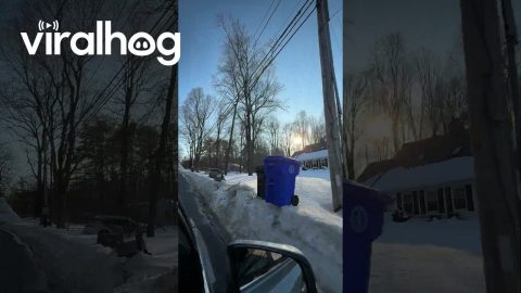 The Largest Snowman in Massachusetts || ViralHog