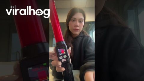Sandwich Bread Activates Breathalyzer Test || ViralHog