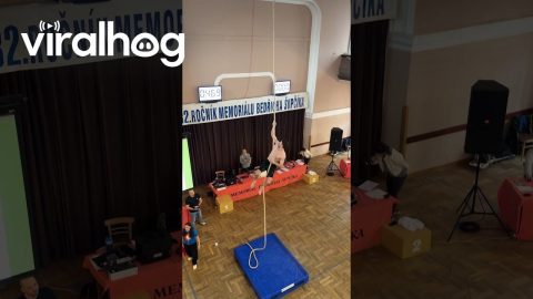 First Place at Czech Rope Climbing Competition || ViralHog