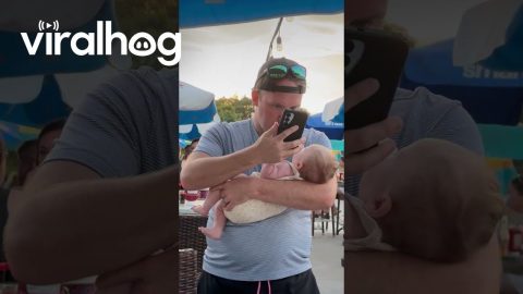 Multitasking Work Daddy! || ViralHog