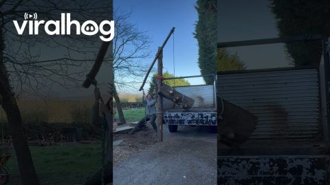 Log Crane Uses Leverage To Load Truck || ViralHog