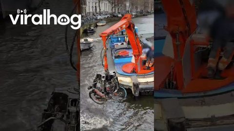 Giant Claw Machine Fishing for Bikes in Amsterdam || ViralHog
