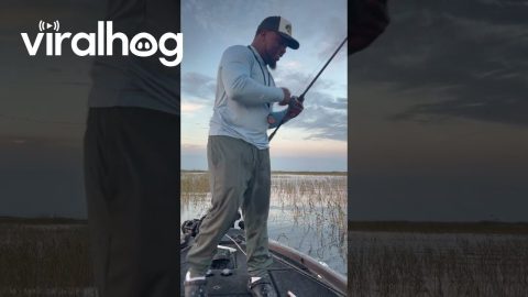 Fishing Pole Goes Flying || ViralHog
