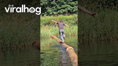 Timber Sports Competitor Conquers Log Run || ViralHog