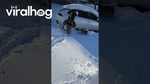 Husband Uses String Trimmer To Shovel Snow || ViralHog
