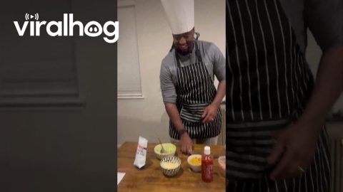 Husband Surprises Pregnant Wife with At-Home Restaurant Experience || ViralHog