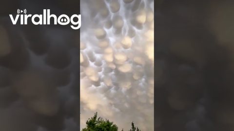Clouds Look Like Fluffy Bubble Bath || ViralHog