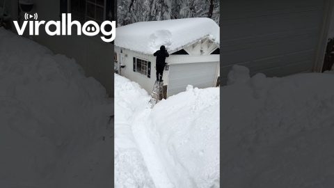 Roof Shovel Fail Dumps Man in Fresh Snow || ViralHog