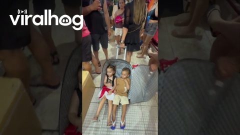 Rolling Suitcase Used As Improvised Double Stroller || ViralHog