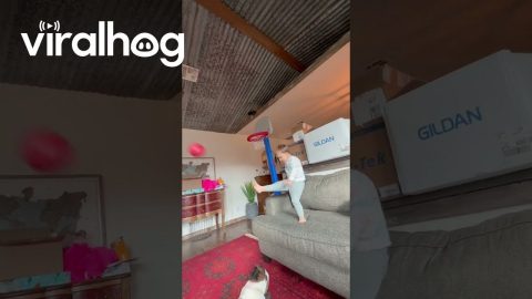 Kiddo Makes a Dropkicked Basket || ViralHog