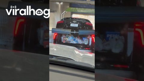 Groceries Get Soaked When SUV Enters Car Wash With Open Trunk || ViralHog
