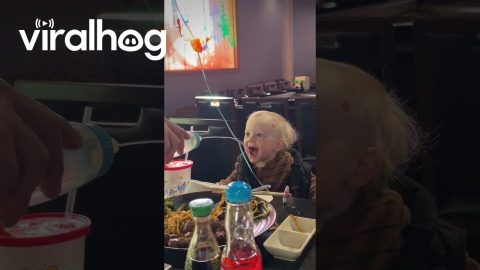 Hibachi Baby Locks In || ViralHog