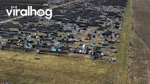 Drone Footage of Tornado Aftermath on an Indiana Solar Farm || ViralHog