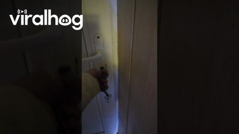 The Emergency Exit Is Inside My Room || ViralHog