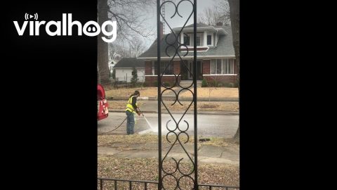 Crazy Neighbor Painted a Line in the Street || ViralHog