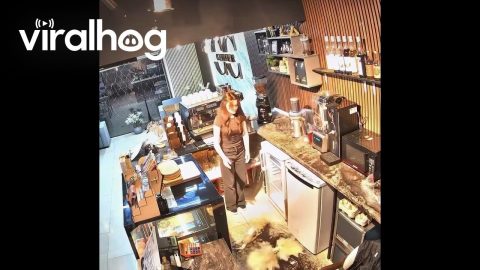 Barista Accidently Causes a Coffee Shop Disaster || ViralHog