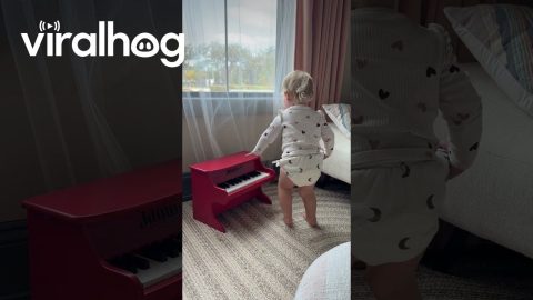 Daughter Plays Piano Backward || ViralHog