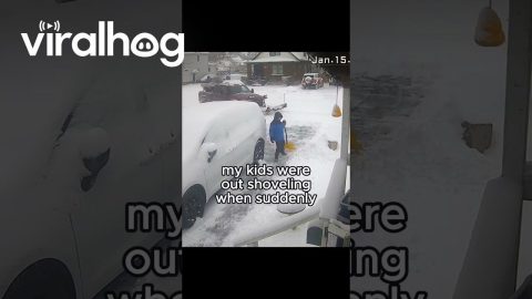 Plow Driver Helps Kids Shovel Driveway || ViralHog Shorts