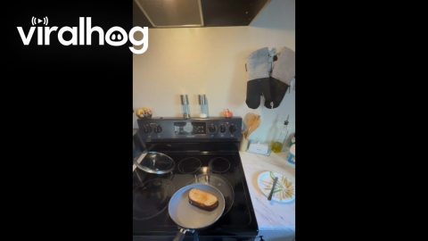 Legendary Grilled Cheese Flip || ViralHog