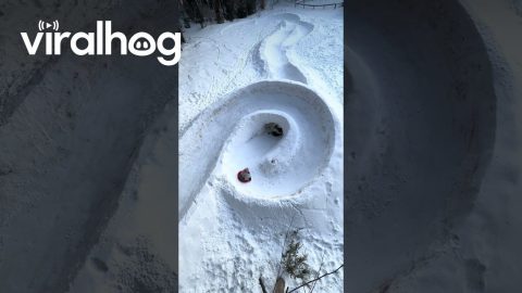 Epic Backyard Sledding Track || ViralHog