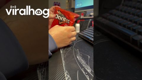 Disappointing Dorito Bag || ViralHog