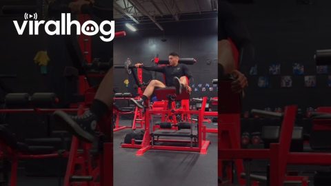Back Attack Machine || ViralHog