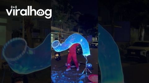 Blue Neon Bubble Show || ViralHog