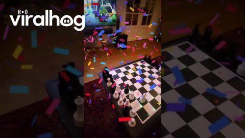 Checkmate Detecting Beer Delivery Robot || ViralHog Shorts