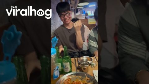 Restaurant Goes Silent After Friend Screams || ViralHog