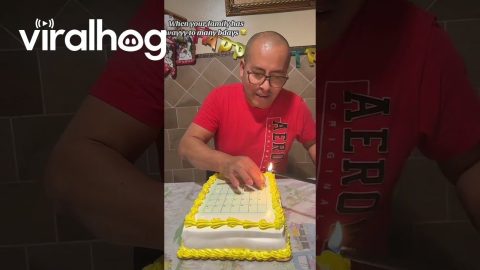 Calendar Cake for Multiple Birthday Celebrations || ViralHog