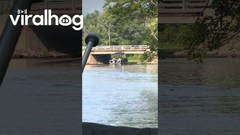 Pontooners Forget to Lower Canopy || ViralHog