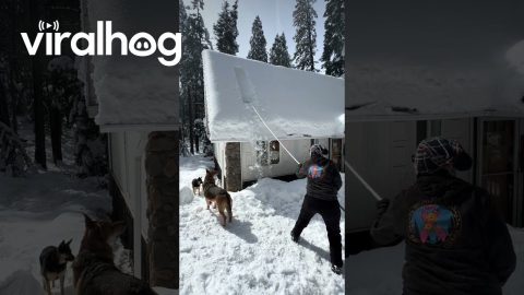 Not-So-Satisfying Snow Removal || ViralHog