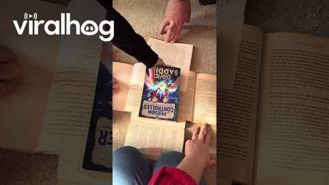 Blooming Book Pages || ViralHog