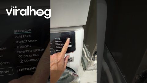 Washing Machine With Surprise Indoor Water Feature || ViralHog