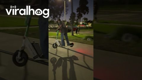 Lime Scooter Rail Grind || ViralHog