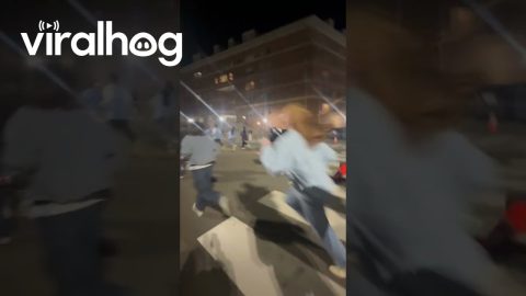 Dad Gets Swept Up In College Tradition || ViralHog