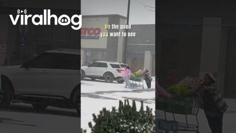 Kind Girl Helps Stranger Push Shopping Cart Through Snowstorm || ViralHog Shorts