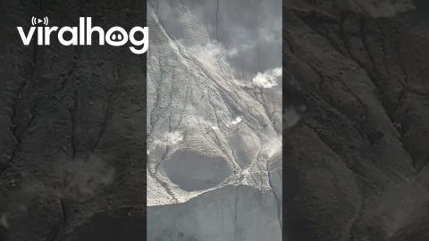 Wild Goats Charge Along Sheer Mountain Wall || ViralHog