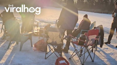 Neighbors Hangout on an Ice Carousel || ViralHog