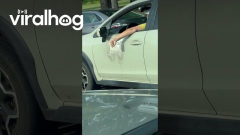 Worn Spot On Car Door From Traffic Jamming || ViralHog