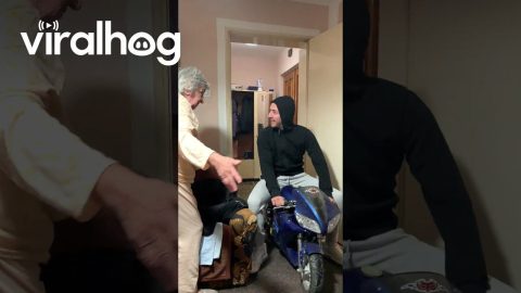 Man Rides Pocket Bike Into Grandmother's Living Room || ViralHog