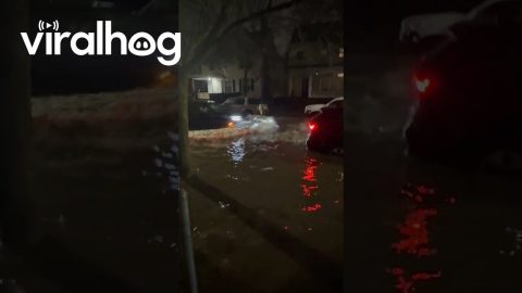 Flash Flooding in Grand Rapids, Michigan || ViralHog