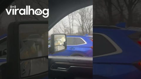 Woman On Highway Throws Coffee Into Moving Vehicle || ViralHog