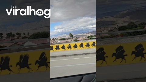 Hervey Garcia's Kinetic Mural on Indio Overpass || ViralHog
