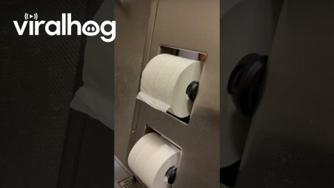 I Feel Like There’s a Better Time to Change the Toilet Paper || ViralHog