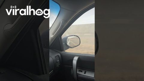 No Injuries After Train Smashes Through Semi-Trailer In Alberta || ViralHog